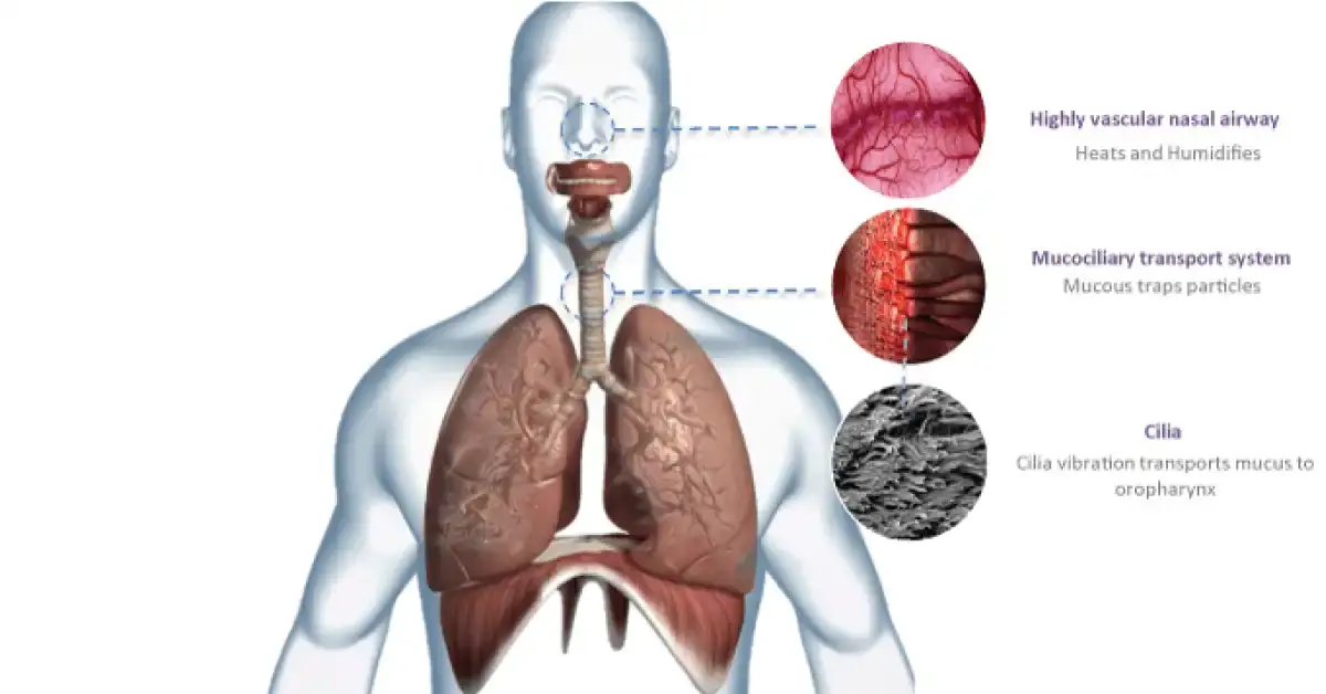 Illustration for INSPIRE blog demystifying in ICU